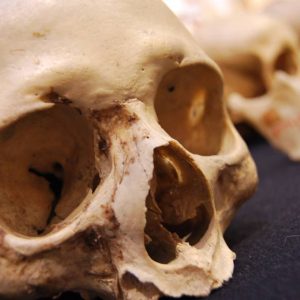 15027890_215817655507790_409520262105357577_n