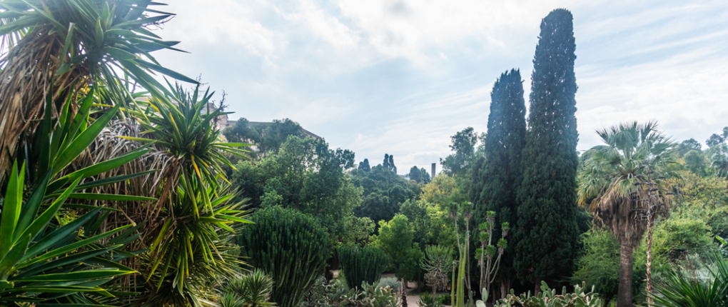 Luoghi della Summer School