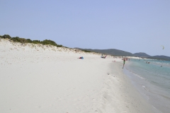 DSC1133