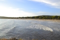 DSC0791
