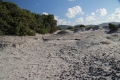 2014_12_15-13_52_59-5076Angelo-Ibba
