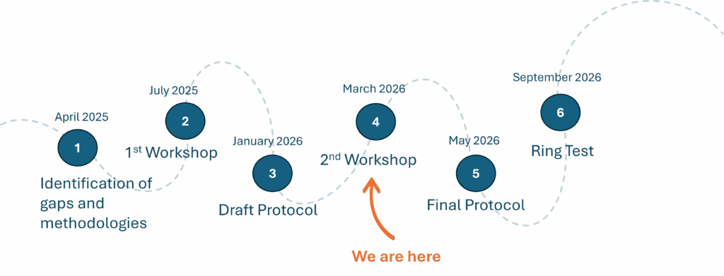 Project timeline infographic showing six milestones from April 2025 to September 2026: identification of gaps and methodologies (April 2025), 1st workshop (July 2025), draft protocol (January 2026), 2nd workshop (March 2026), final protocol (May 2026), and ring test (September 2026). An arrow highlights the current stage at the 2nd workshop.