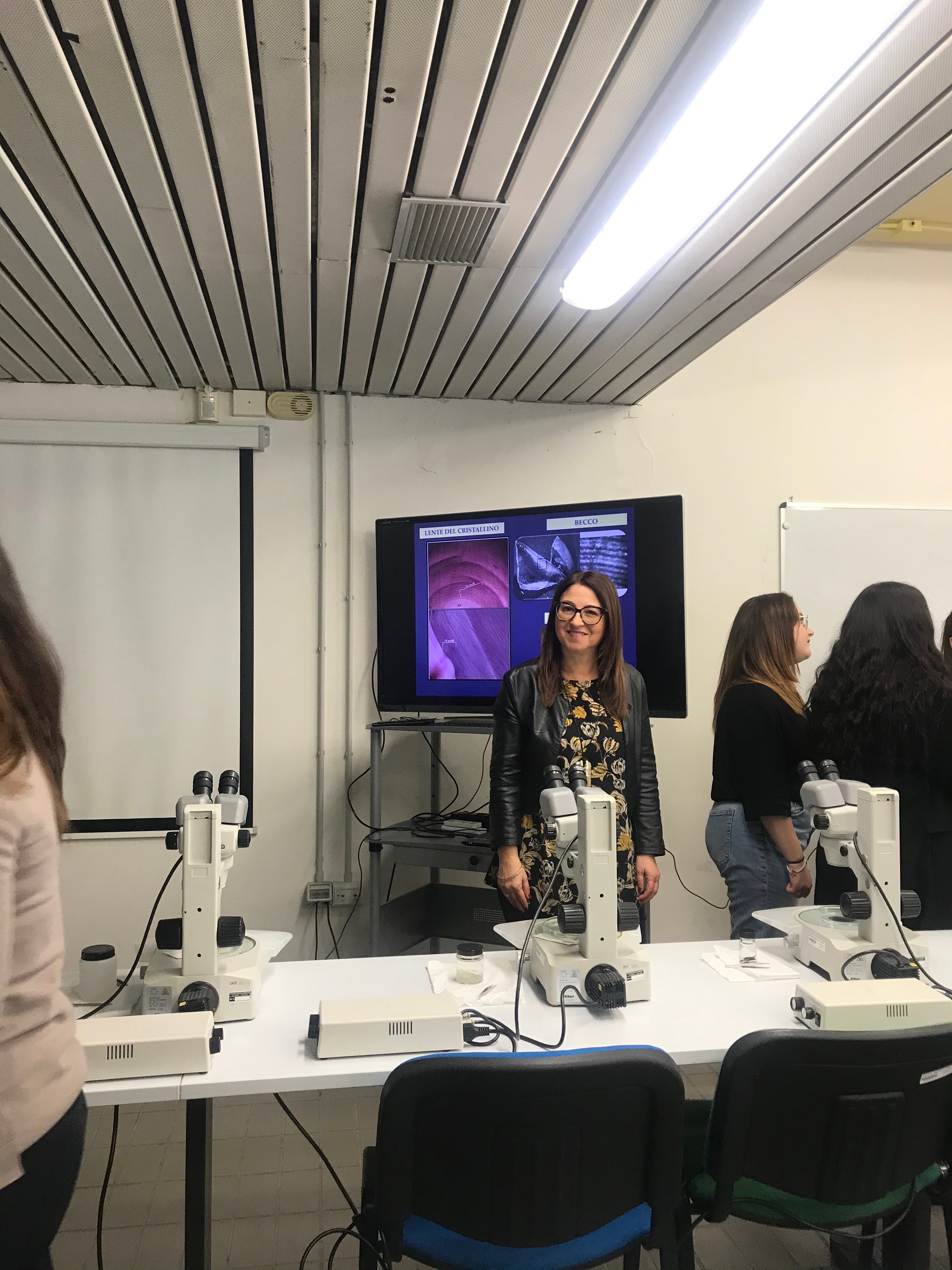 Occupazioni Per Laureati In Scienze Naturali