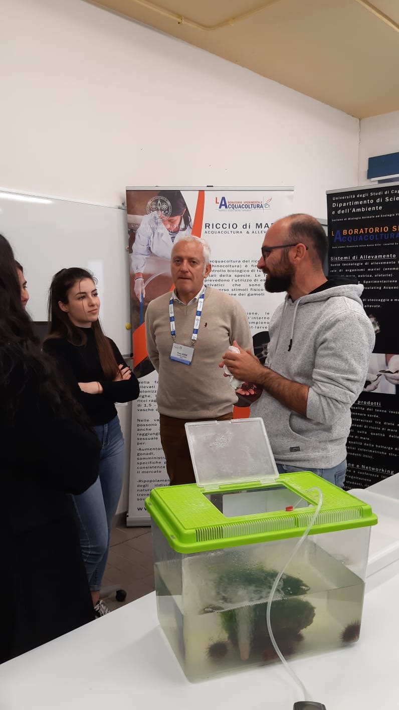 Occupazioni Per Laureati In Scienze Naturali